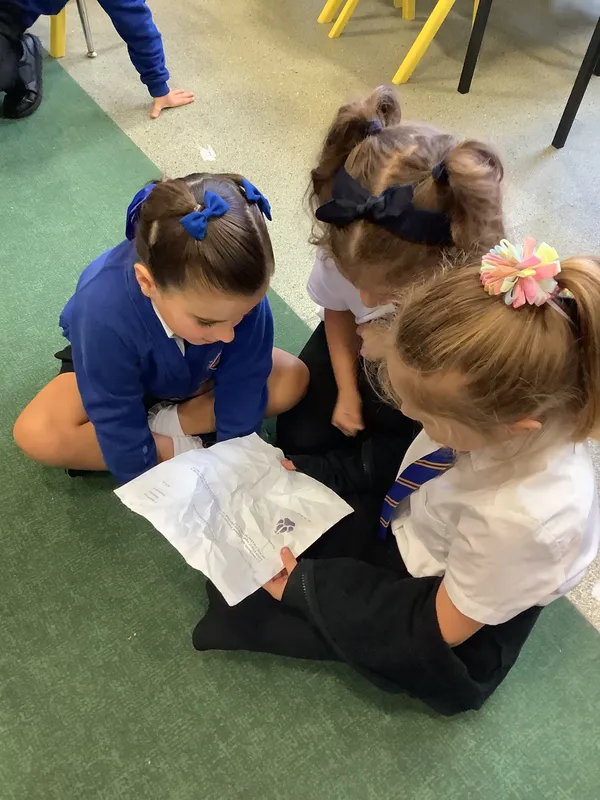 Gallery - created at 2025-09-17 14:03:20 - image 4 Gallery - created at 2025-09-17 14:03:20 - image 4