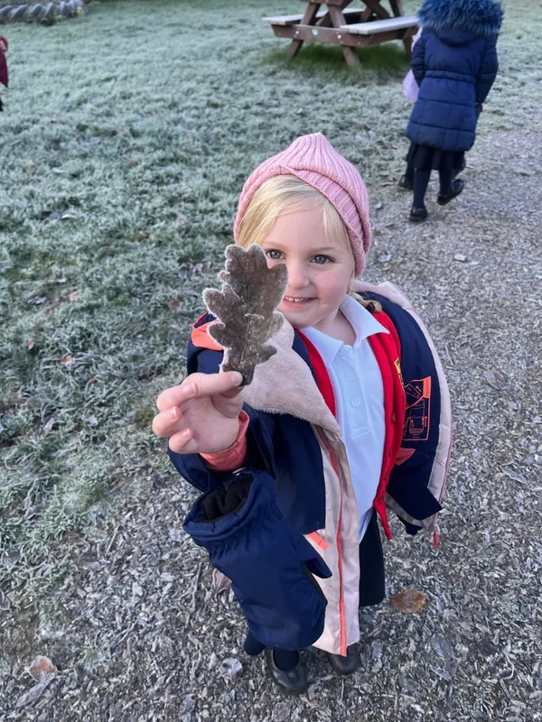 Gallery - created at 2023-12-01 11:42:27 - image 3