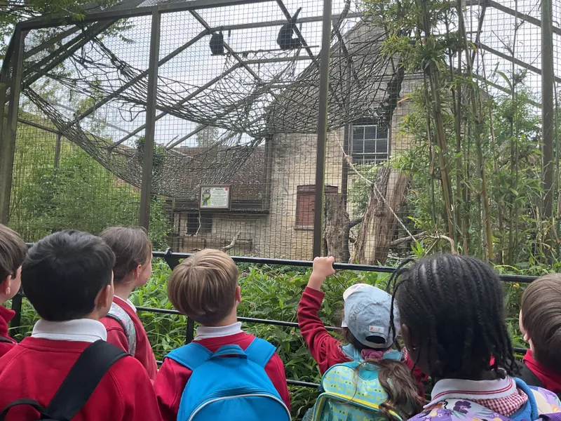 Year 1 trip to Cotswold Wildlife Park - image 11 Year 1 trip to Cotswold Wildlife Park - image 11