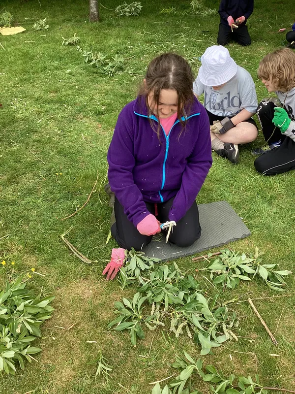 Forest Schools Class 4 - image 14