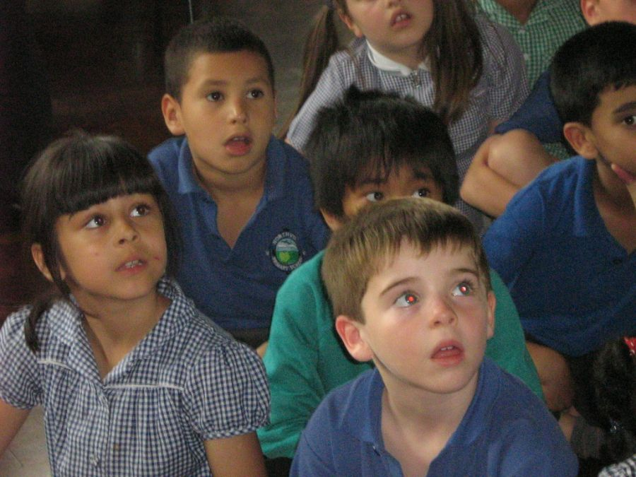 Gallery Archive Northview Primary School