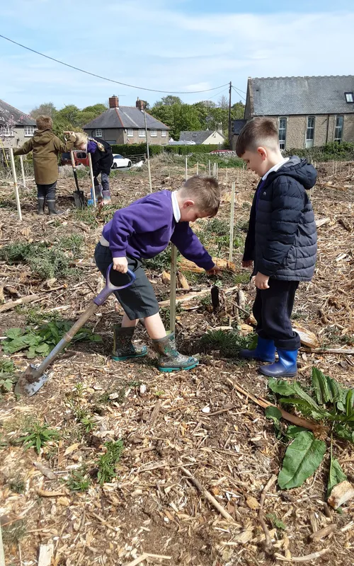 Gallery - created at 2025-04-30 13:12:16 - image 3 Gallery - created at 2025-04-30 13:12:16 - image 3