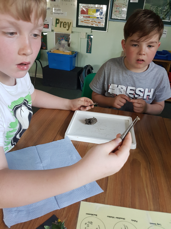 20180419_145537.jpg