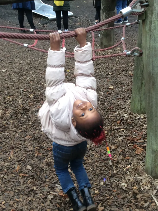 Gallery - created at 2024-11-05 15:27:50 - image 21 Gallery - created at 2024-11-05 15:27:50 - image 21