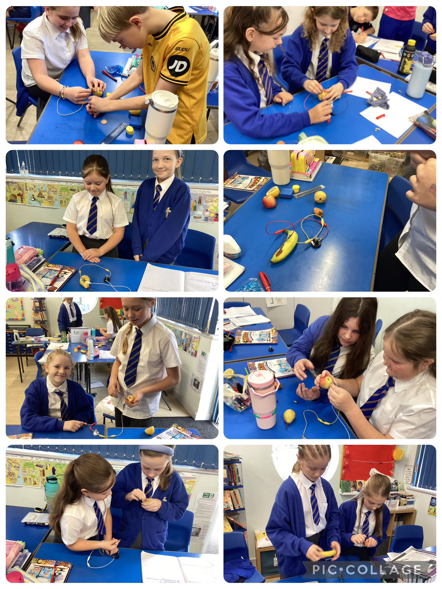 Year 6 made fruit batteries to see how different fruits can produce electricity to light a bulb or sound a buzzer.