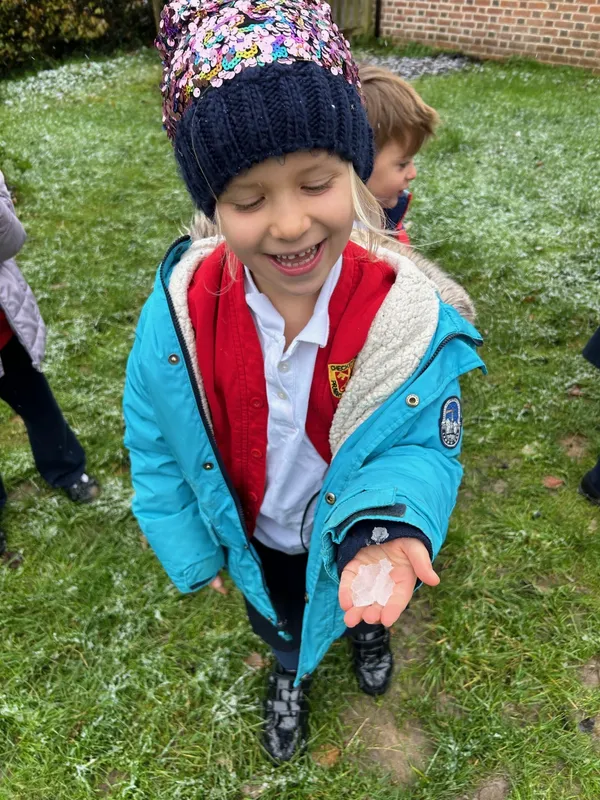 Gallery - created at 2024-11-22 07:00:31 - image 5