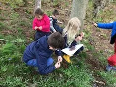 Forest School 131 - image 2 Forest School 131 - image 2