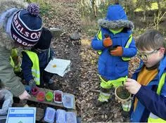 Forest School 50 - image 1 Forest School 50 - image 1
