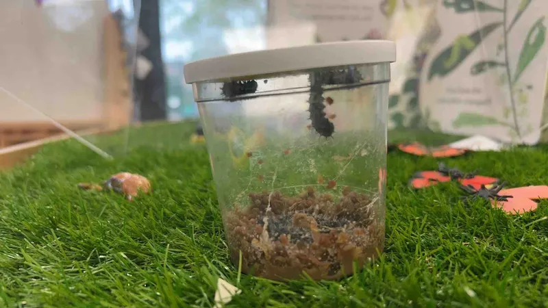 Gallery - created at 2024-06-10 15:20:47 - image 1