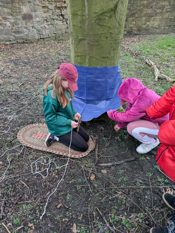 Gallery - created at 2025-02-23 10:17:08 - image 10