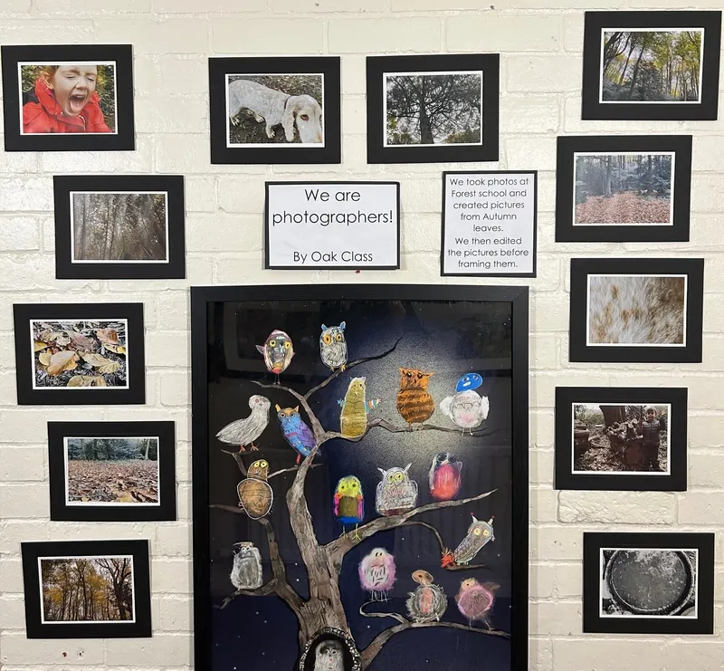 Gallery - created at 2024-11-15 12:36:22 - image 3