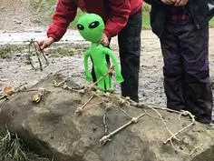 Forest School 118 - image 4 Forest School 118 - image 4