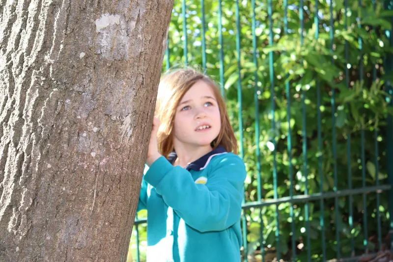 Outdoor learning - image 3