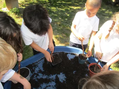 Planting - image 13