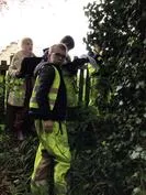 Forest School 101 - image 2 Forest School 101 - image 2