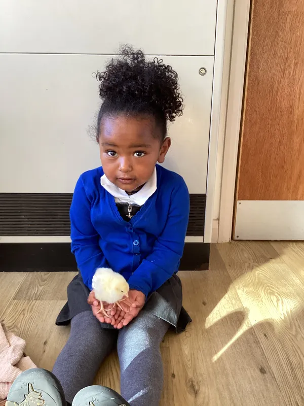 Gallery - created at 2025-04-08 15:36:47 - image 27