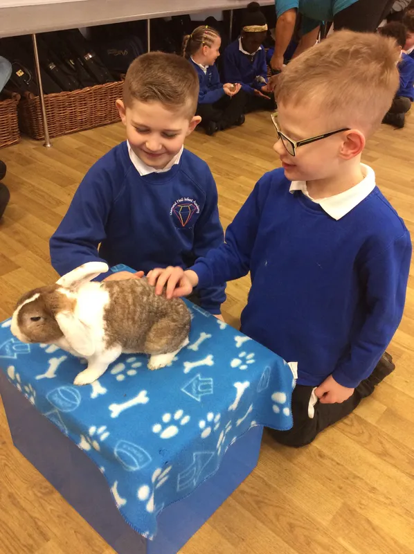 Gallery - created at 2024-03-05 13:52:56 - image 75 Gallery - created at 2024-03-05 13:52:56 - image 75