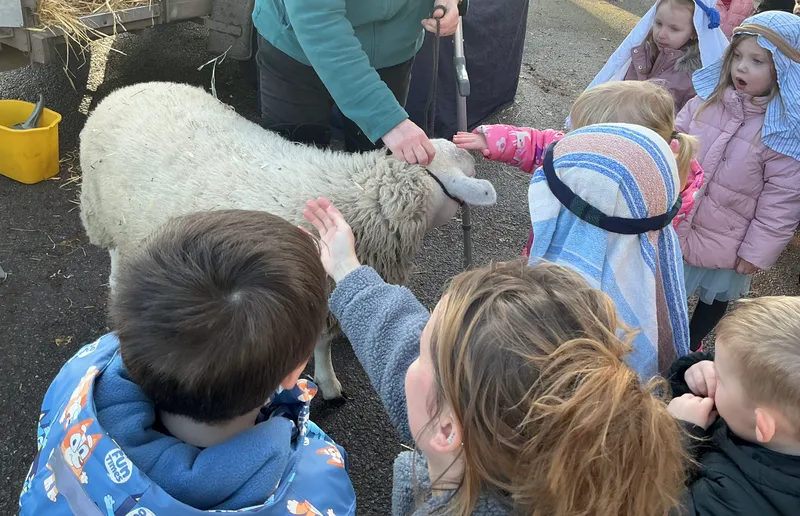 Stella farm on wheels Part 1 - image 9