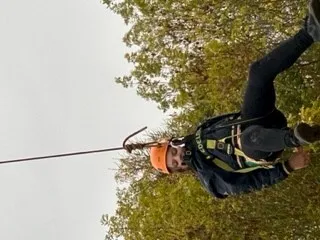 Gallery - created at 2023-10-14 11:56:20 - image 61