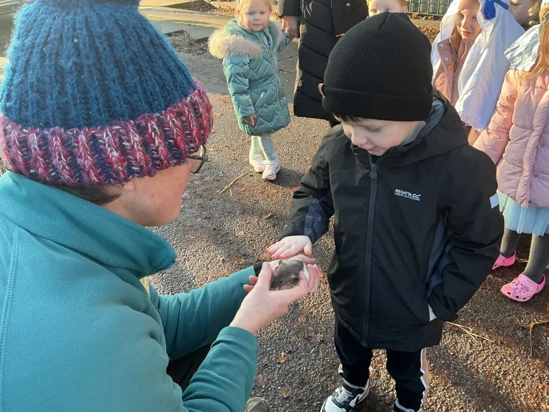 Stella farm on wheels Part 1 - image 15