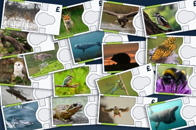 🐾 Help Choose the Animals for the UK’s Next Banknotes!