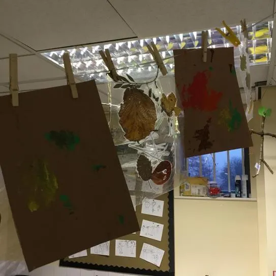 Gallery - created at 2020-11-25 11:13:41 - image 5