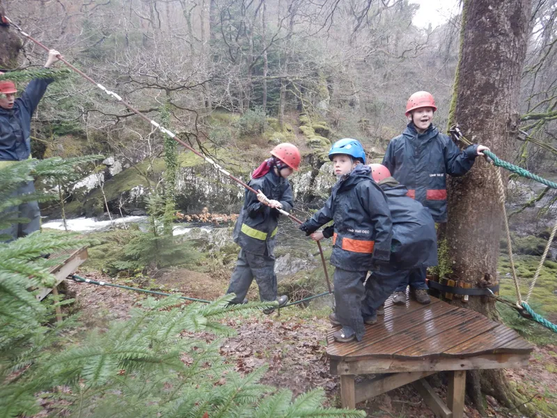 Gallery - created at 2024-02-27 21:54:15 - image 10 Gallery - created at 2024-02-27 21:54:15 - image 10