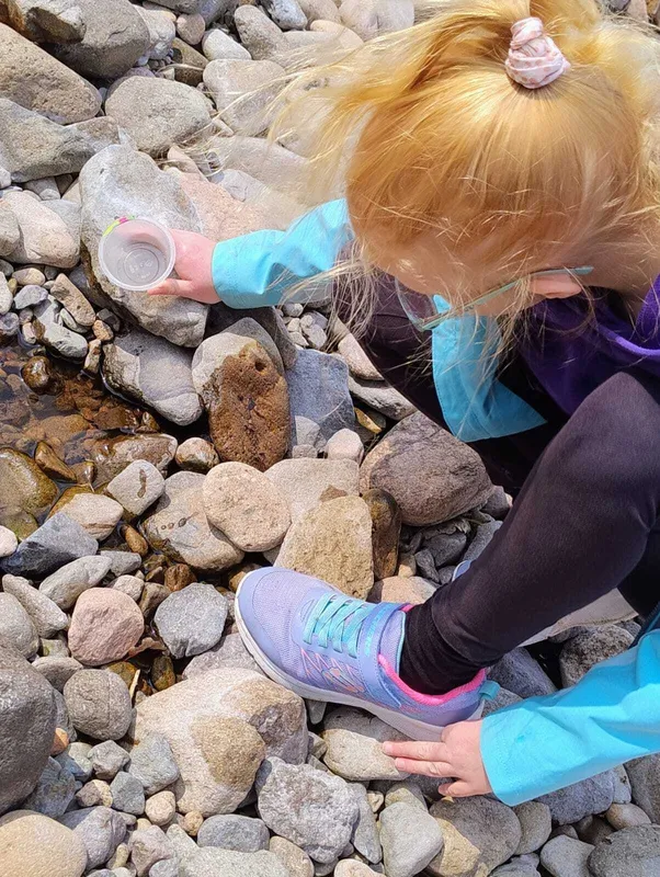 Gallery - created at 2025-06-06 10:37:45 - image 15 Gallery - created at 2025-06-06 10:37:45 - image 15