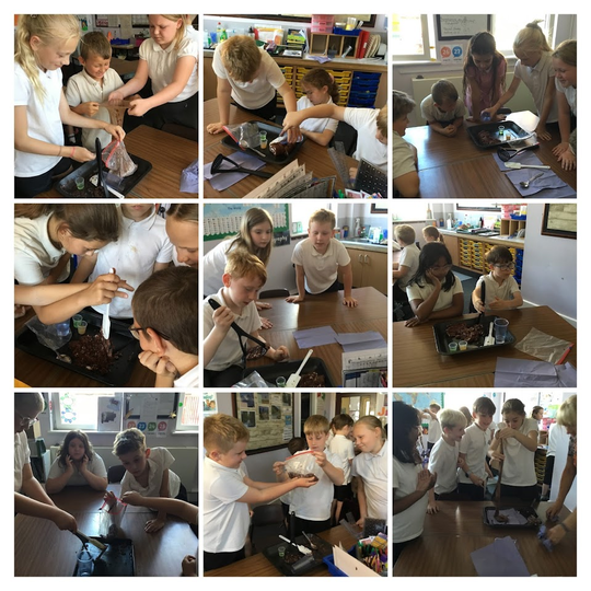 Digestion in Year 4