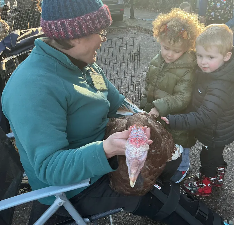 Stella farm on wheels Part 1 - image 38