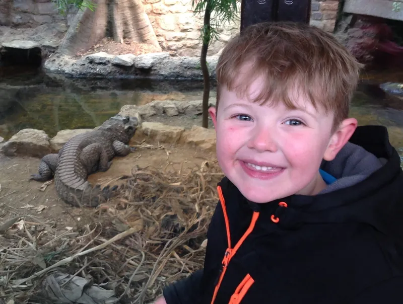 Gallery - created at 2020-02-19 15:05:07 - image 1