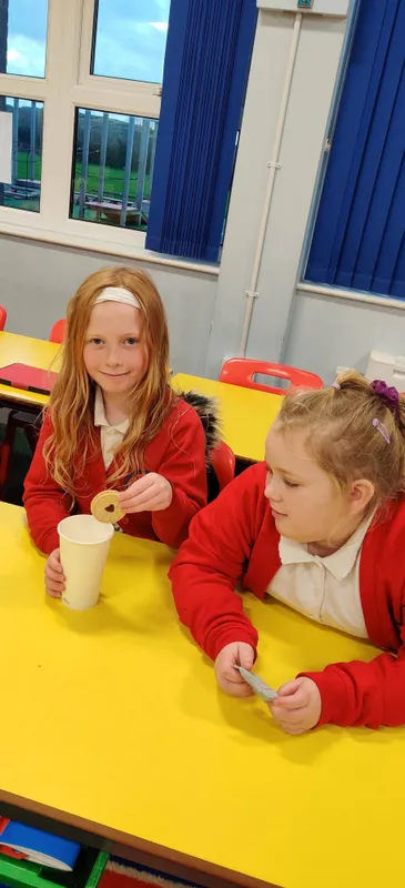 Gallery - created at 2025-05-18 10:00:42 - image 4 Gallery - created at 2025-05-18 10:00:42 - image 4