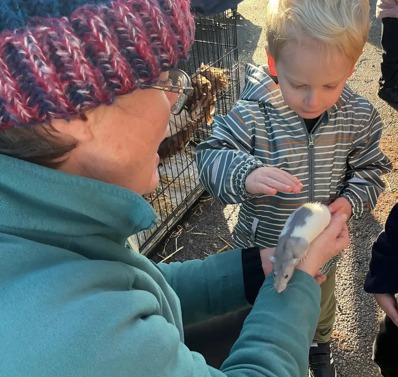 Stella farm on wheels Part 1 - image 40