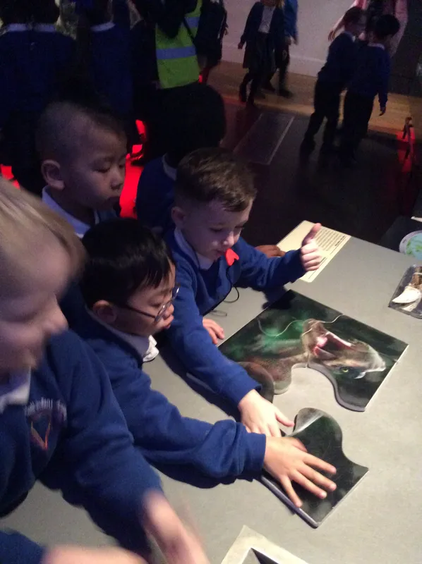 Gallery - created at 2024-02-09 11:53:37 - image 65