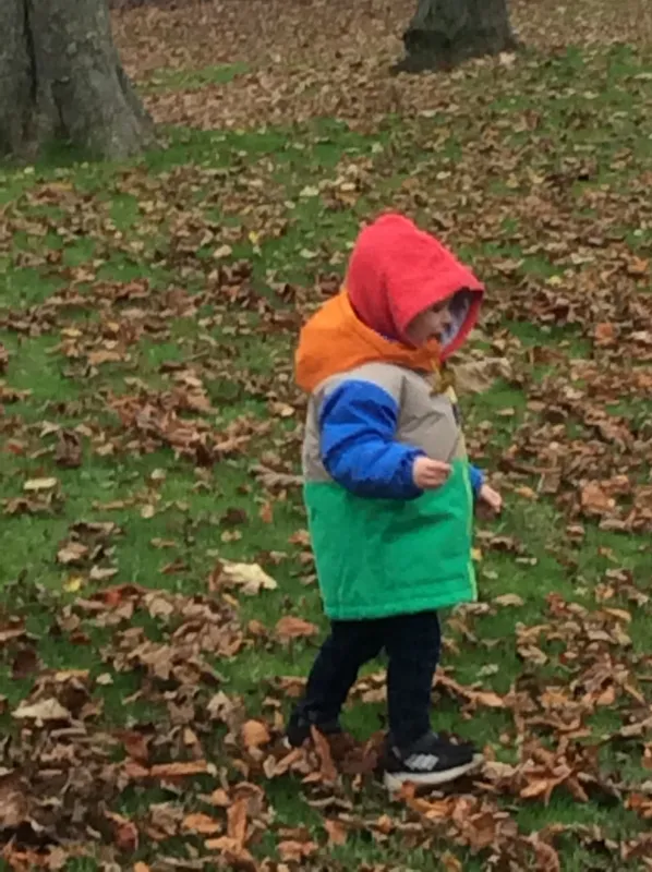 Gallery - created at 2024-11-05 15:27:50 - image 28 Gallery - created at 2024-11-05 15:27:50 - image 28