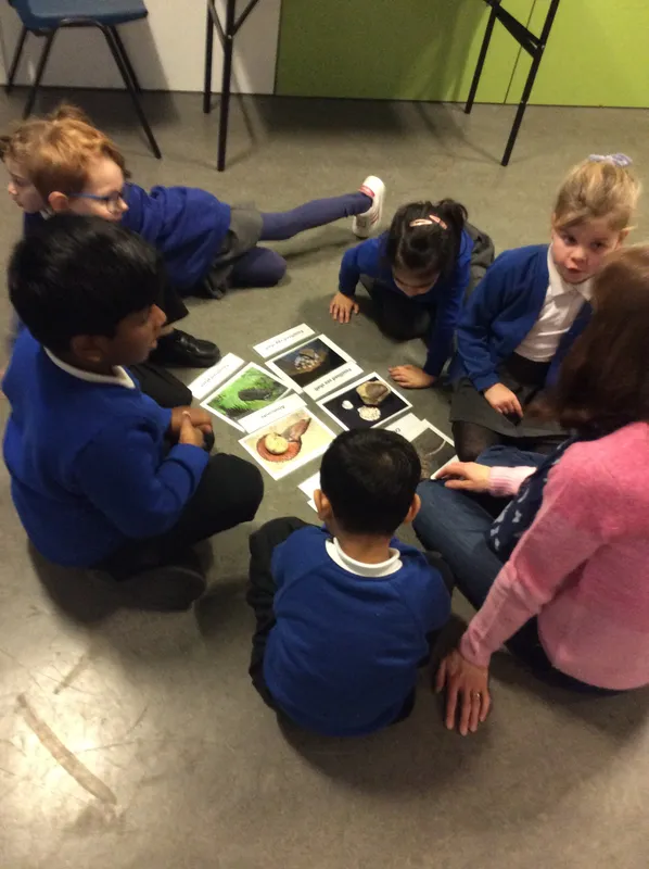 Gallery - created at 2024-02-09 11:53:37 - image 8