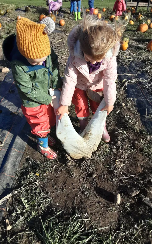 Gallery - created at 2024-10-25 14:50:36 - image 9 Gallery - created at 2024-10-25 14:50:36 - image 9