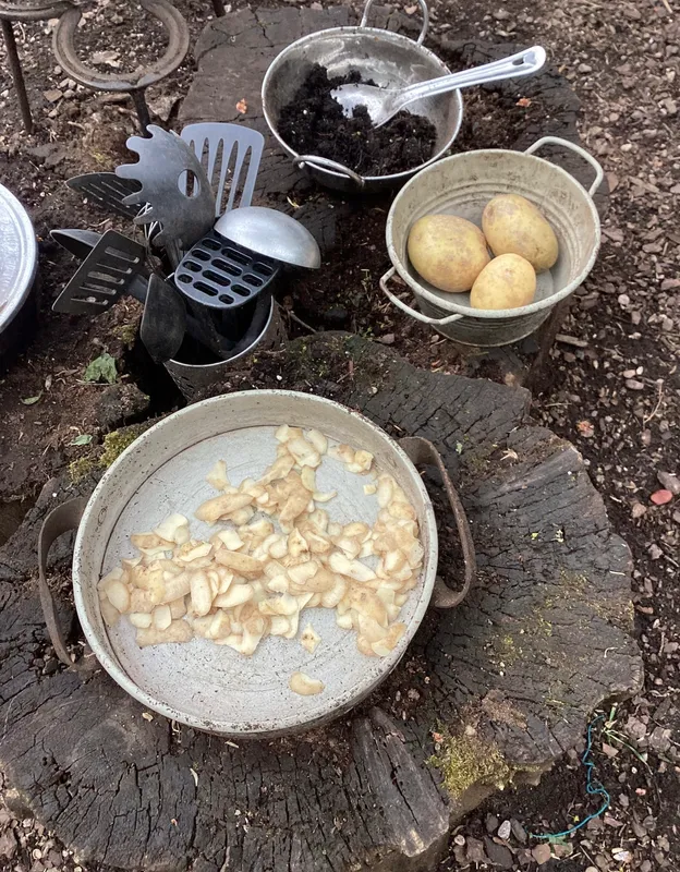 Planting potatoes 26 - image 6