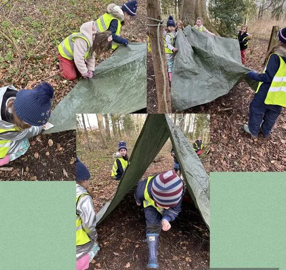 Spring 2023 - March 15th - Acorns - Flowers, Towers and Tarp (with tea!) - Round Robin Session 2 - image 2 Spring 2023 - March 15th - Acorns - Flowers, Towers and Tarp (with tea!) - Round Robin Session 2 - image 2