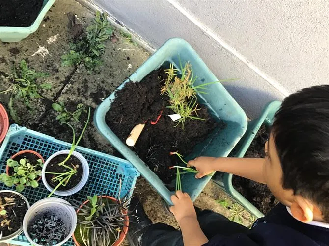 Nursery 04.03.2026 - image 1