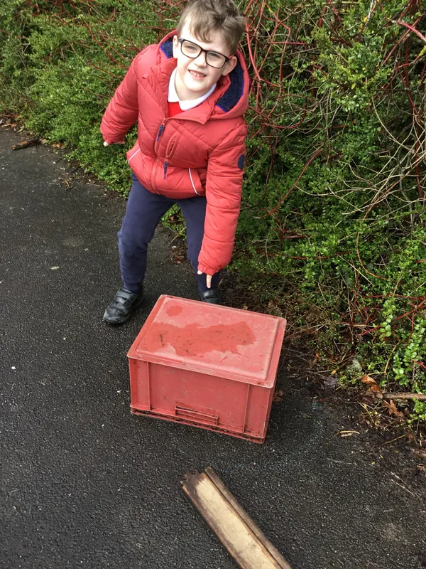 Gallery - created at 2023-03-26 19:07:19 - image 1