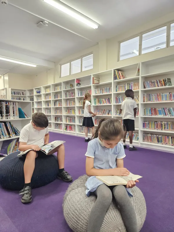 Libraries - image 1 Libraries - image 1