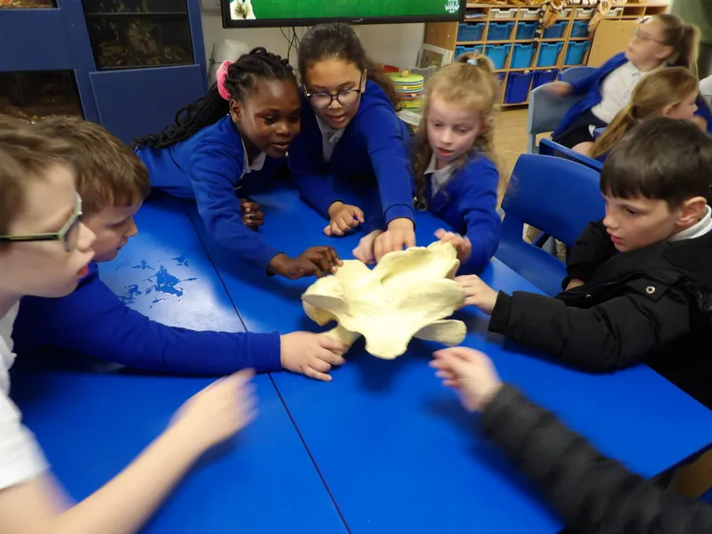 Y3 Yorkshire Wildlife Park Trip - image 62