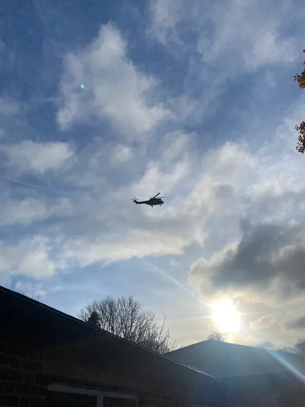 Gallery - created at 2024-12-08 13:16:29 - image 6