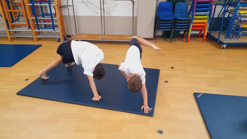 PE - Gymnastics - image 10 PE - Gymnastics - image 10
