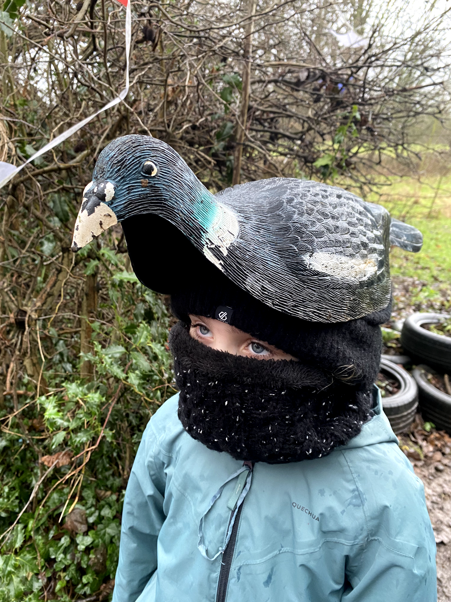 This Week in TB - WC 19/01/26