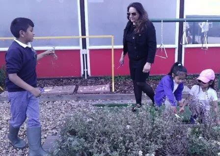 Gallery - created at 2018-01-17 17:01:31 - image 28