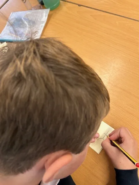 Swallows have created their own flip book animations making a moving picture in computing this week - image 4 Swallows have created their own flip book animations making a moving picture in computing this week - image 4
