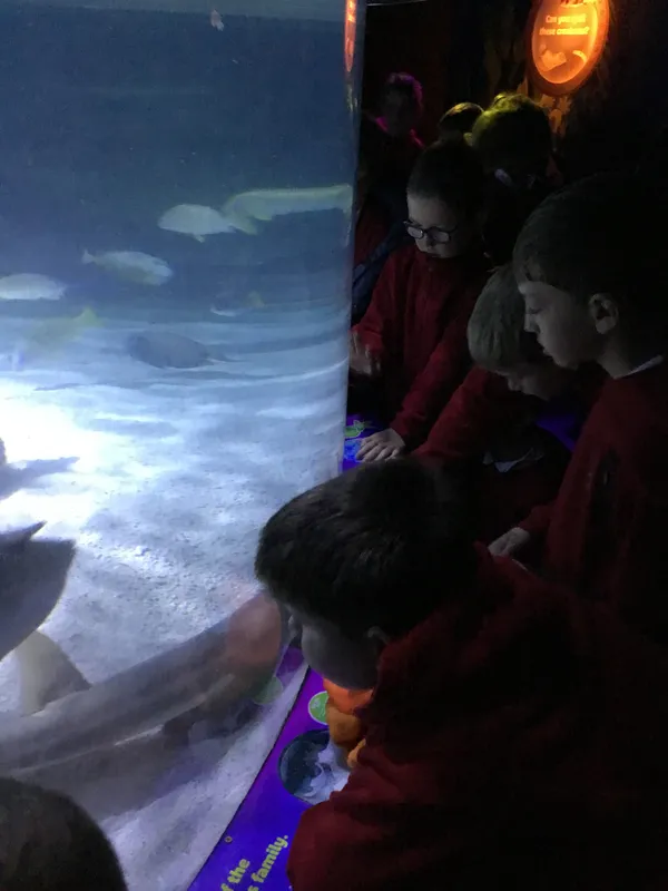 Year 5 Sealife Centre  - image 20