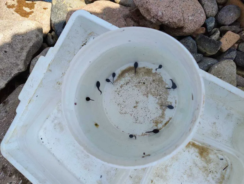 Gallery - created at 2025-06-06 10:37:45 - image 9 Gallery - created at 2025-06-06 10:37:45 - image 9